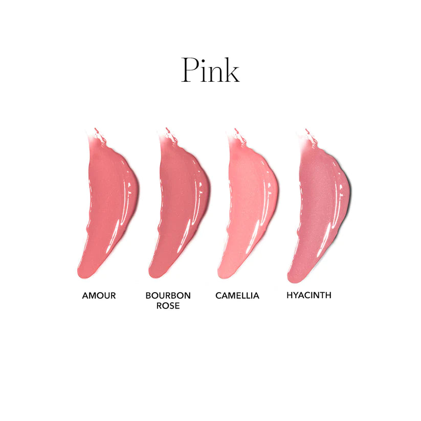 Amour Bourbon Rose Camellia Hyacinth