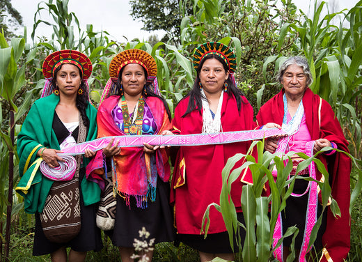 How Women are Saving the Amazon