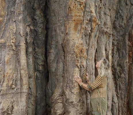 Philanthropy l Wild About Nature