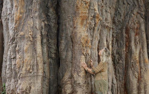 Philanthropy l Wild About Nature