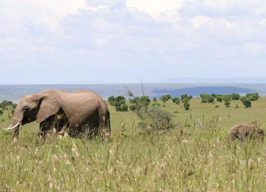 The Chantecaille Family Visits Sheldrick Wildlife Trust in Kenya