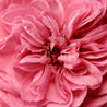 all