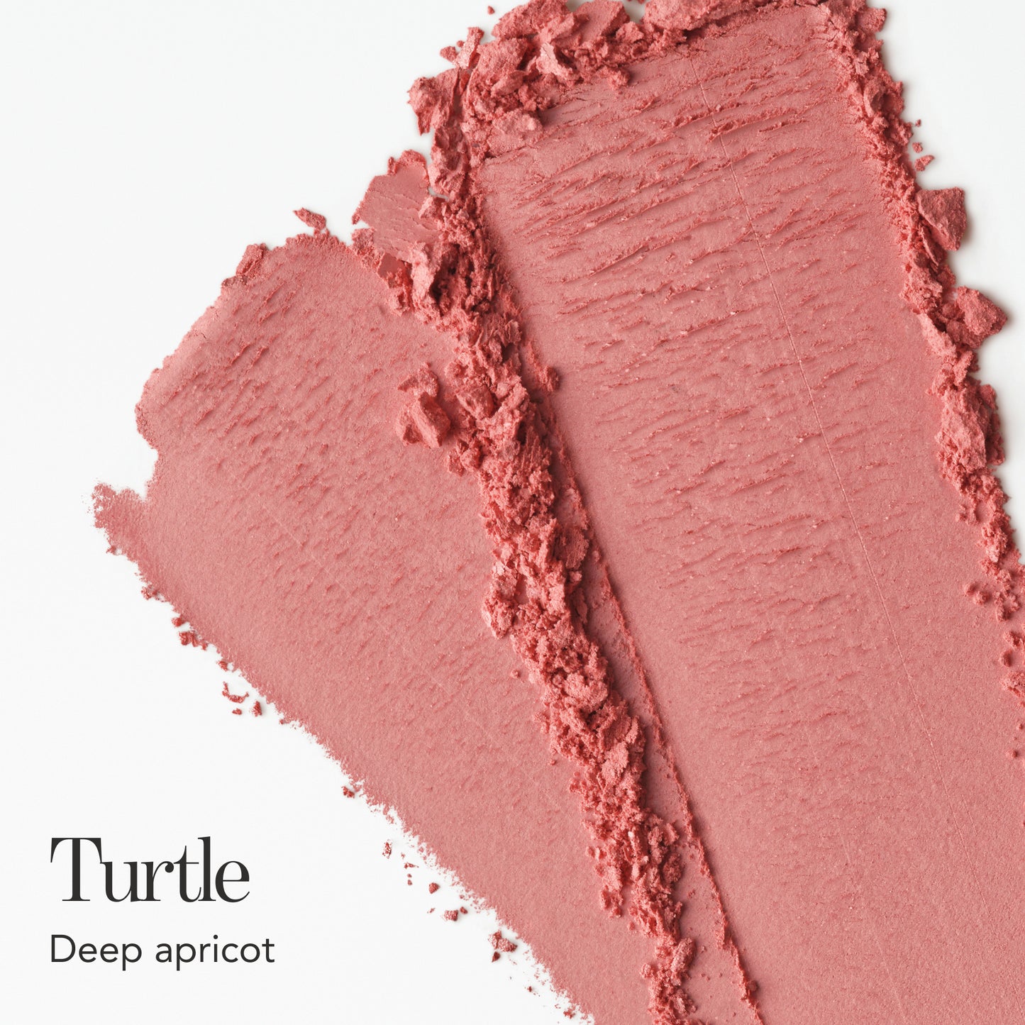 Turtle Grace