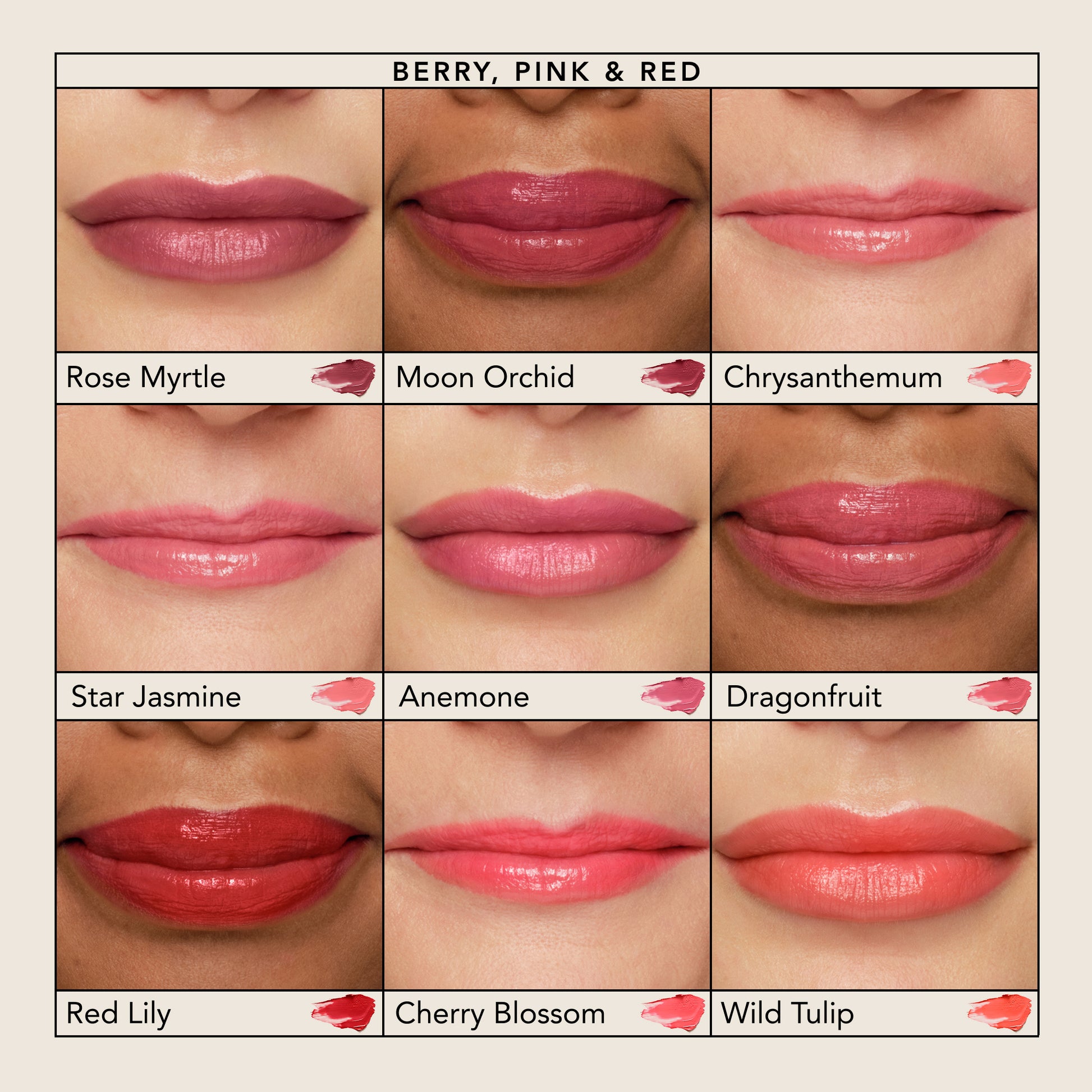 Rose Myrtle, Moon Orchid, Chrysanthemum, Star Jasmine, Anemone, Dragonfruit, Red Lily, Cherry Blossom, Wild Tulip