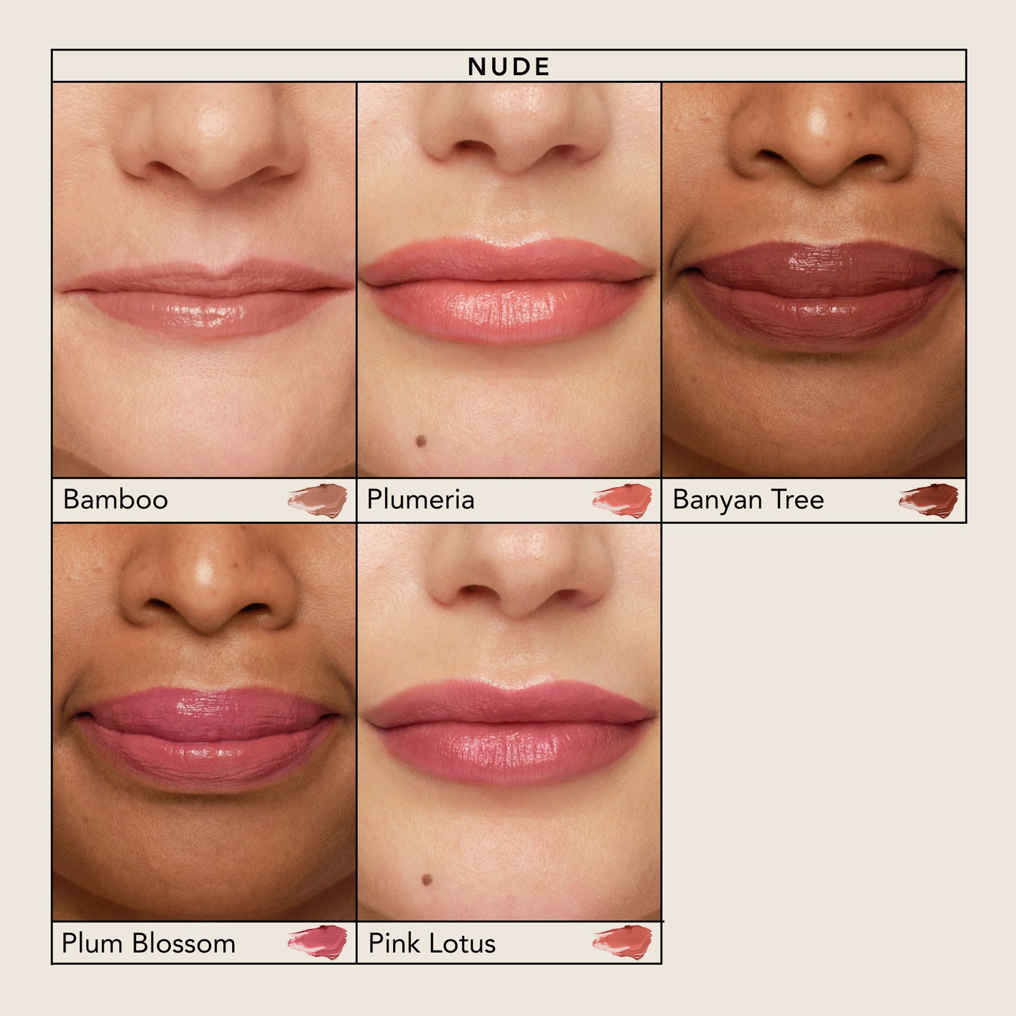 Bamboo, Plumeria, Banyan Tree,Plum Blossom,Pink Lotus