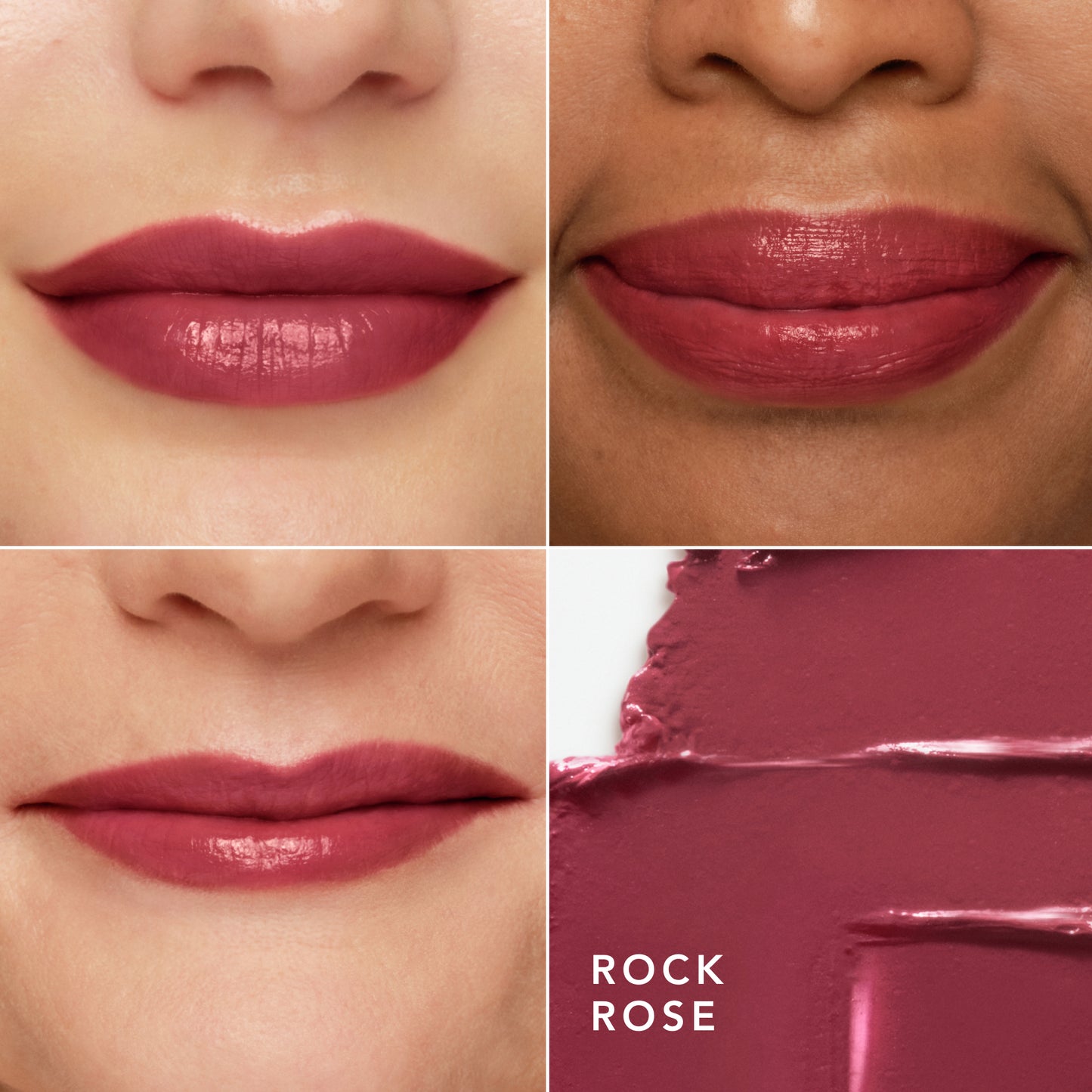 Rock Rose