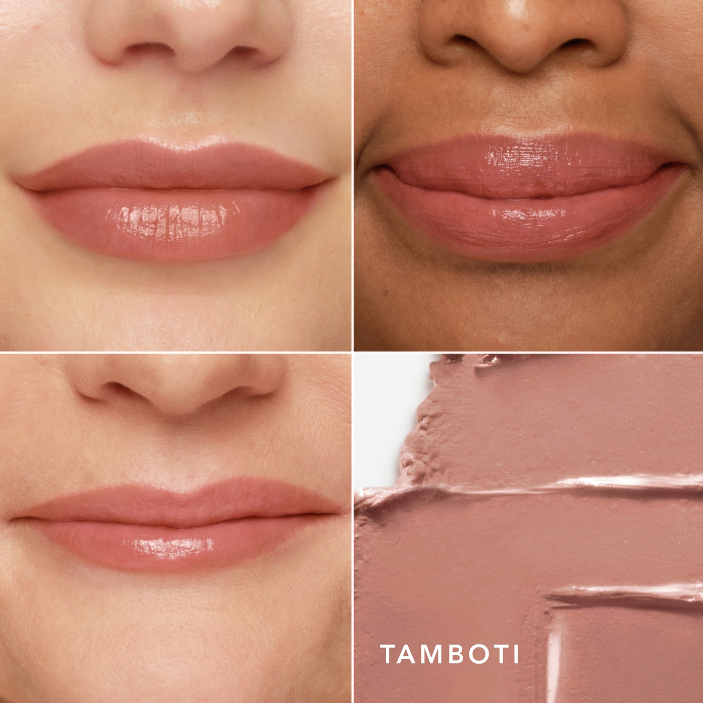 Tamboti