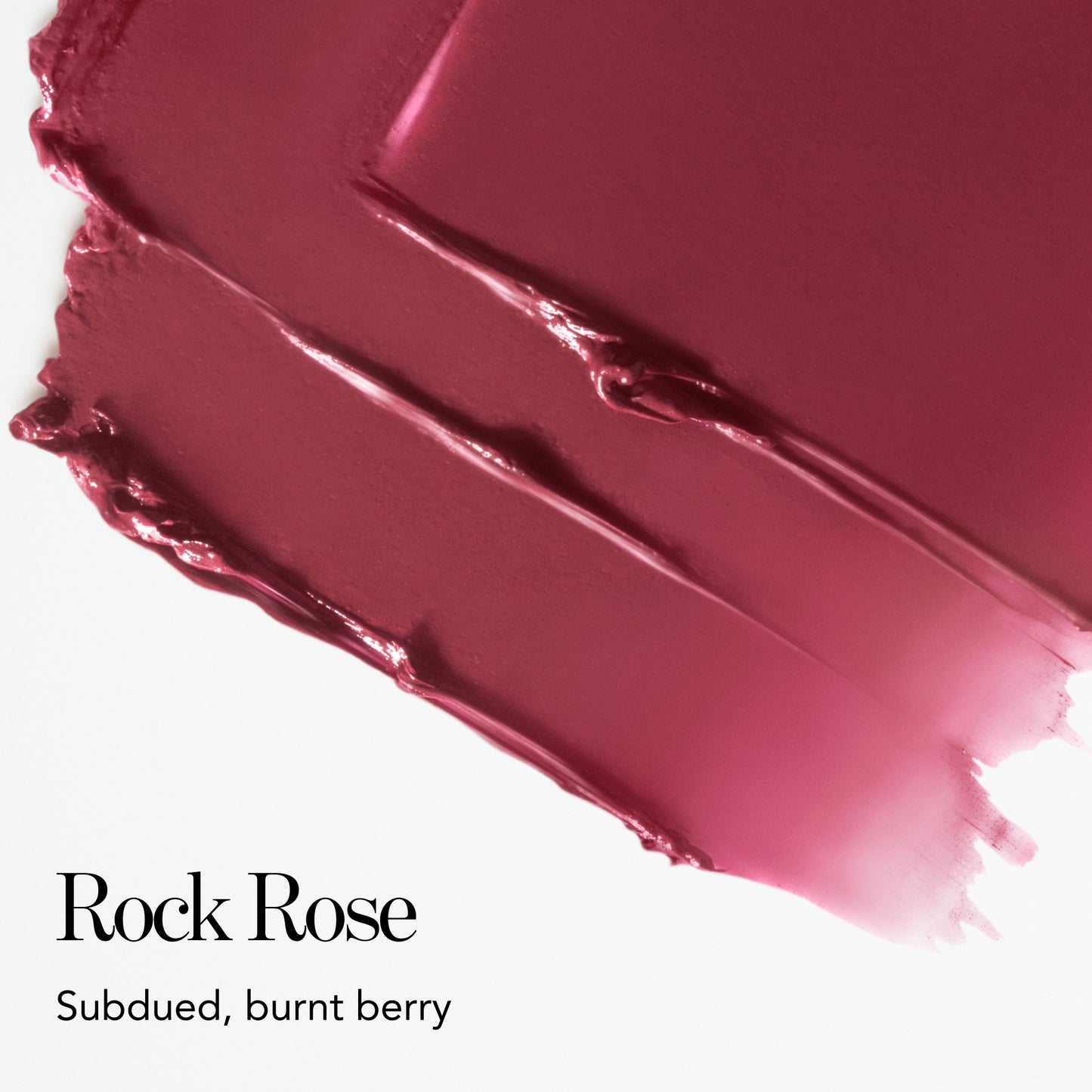 Rock Rose
