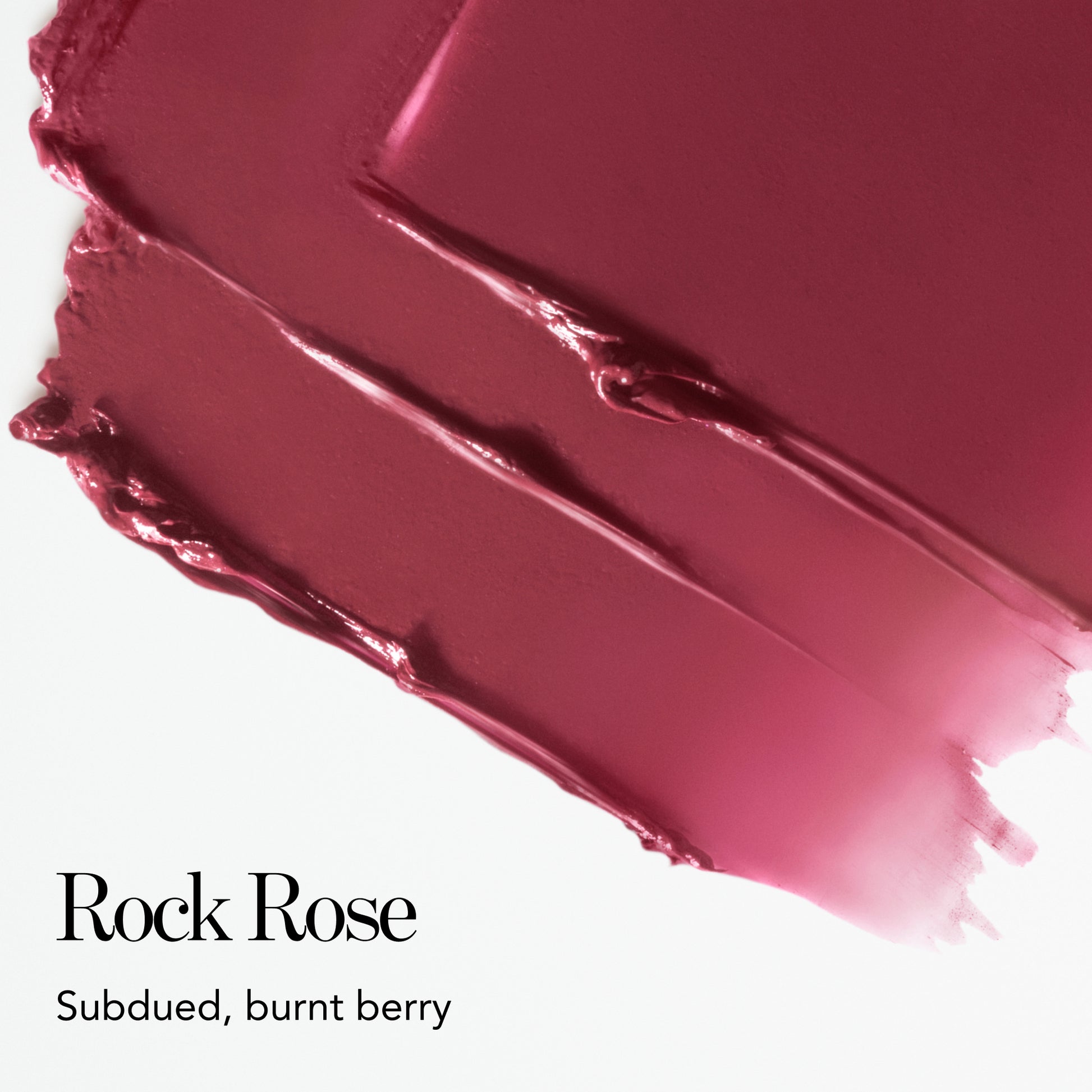 Rock Rose