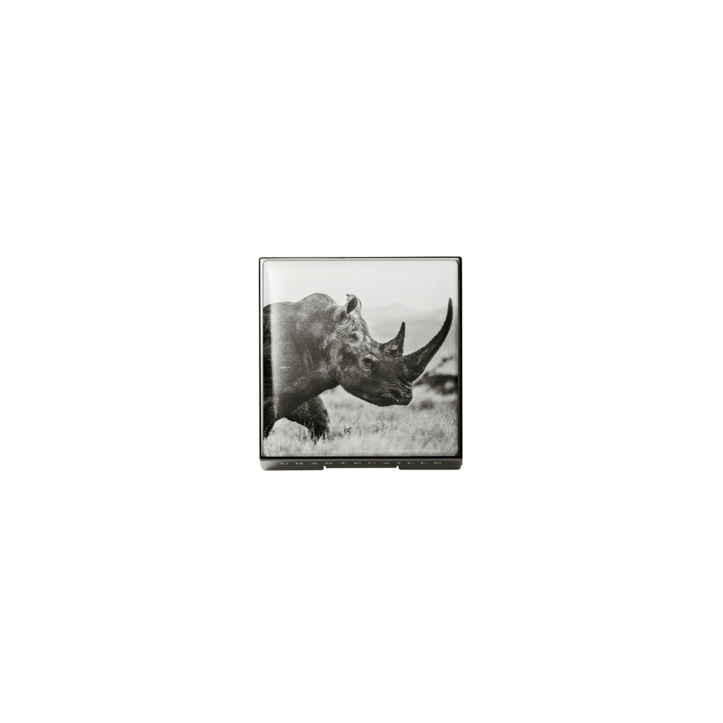 Rhinoceros