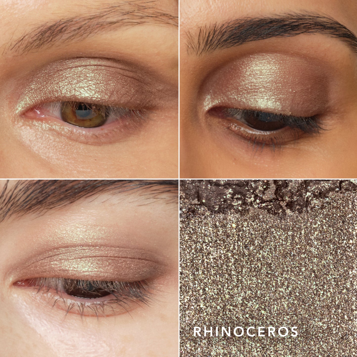 Rhinoceros