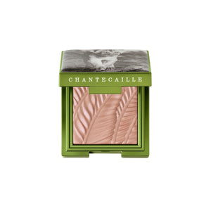 Lion Collection Matte Eye Shade