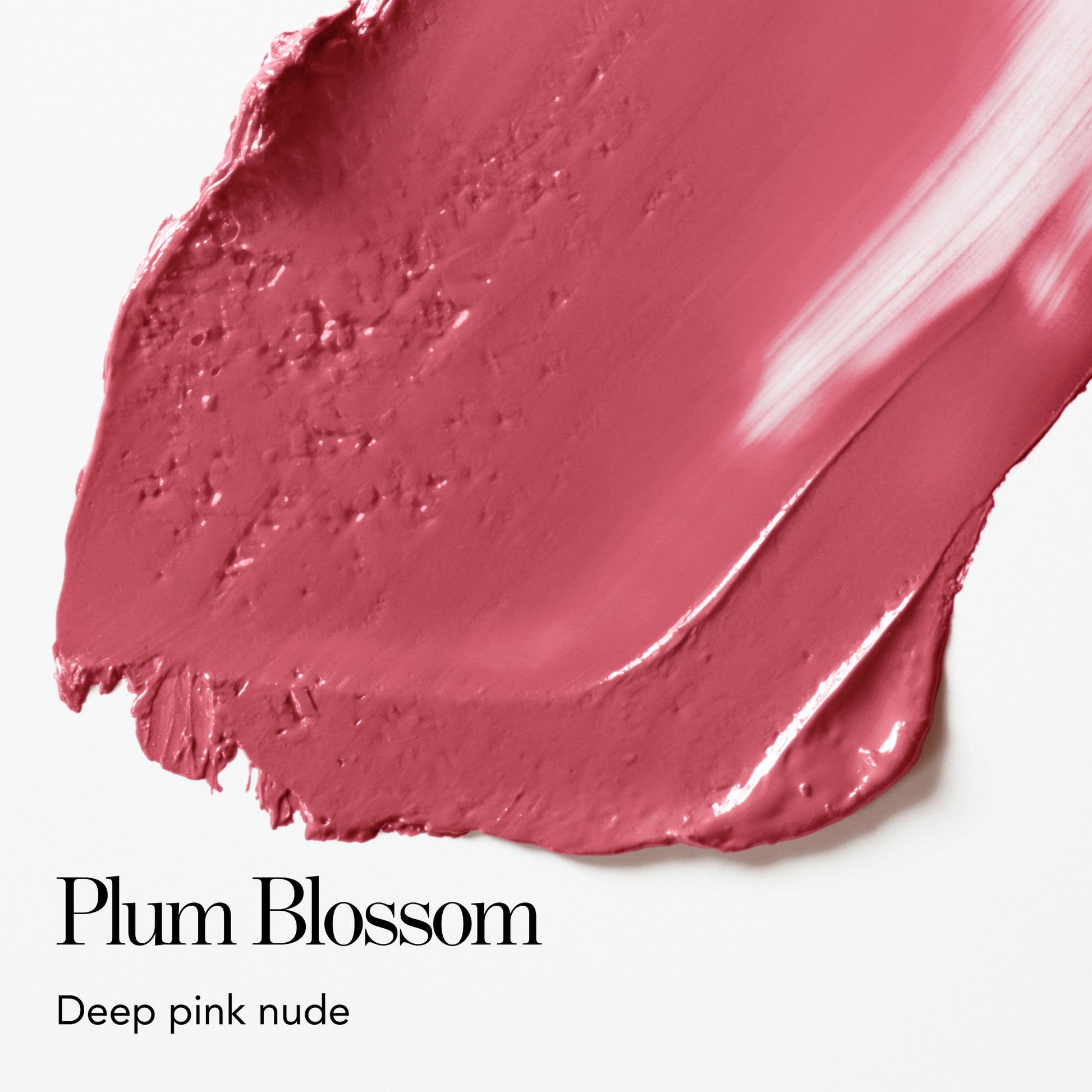 Plum Blossom