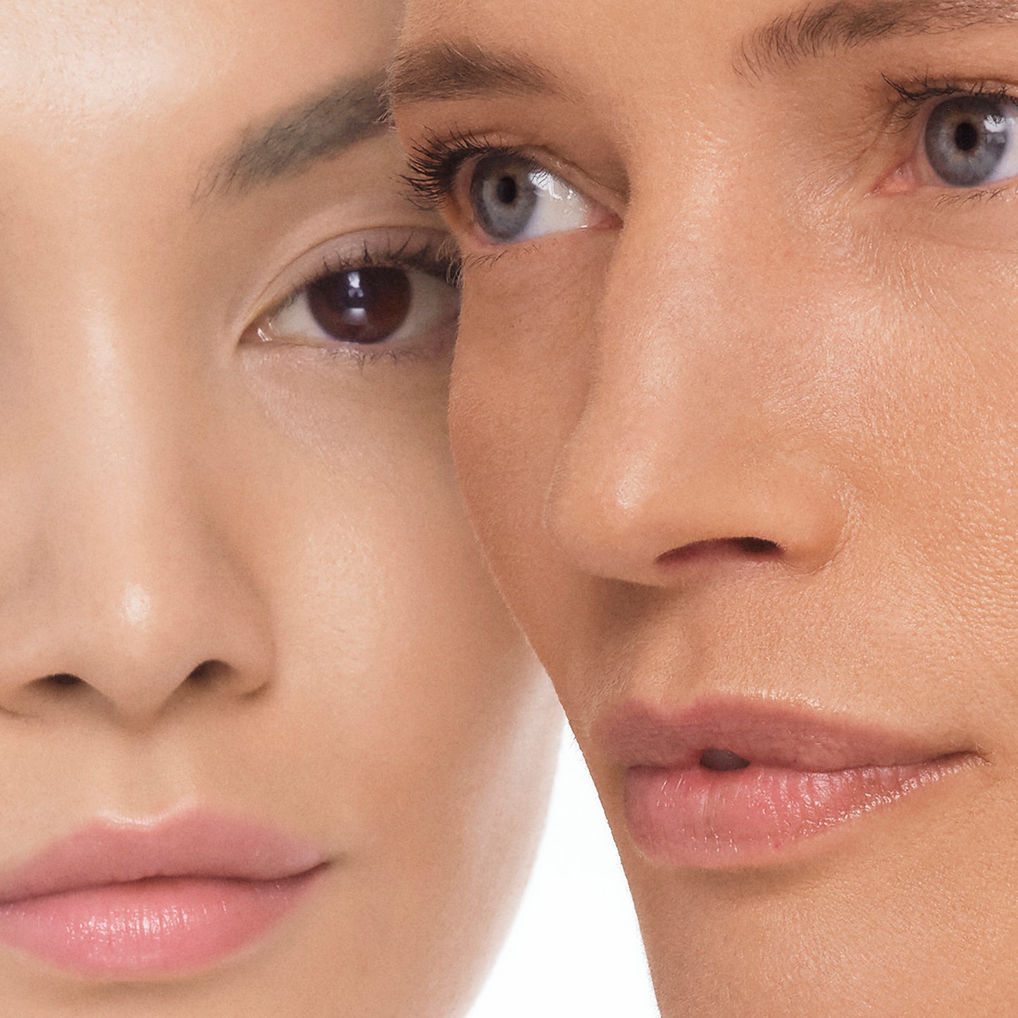 Rose de Mai Eye Lift
