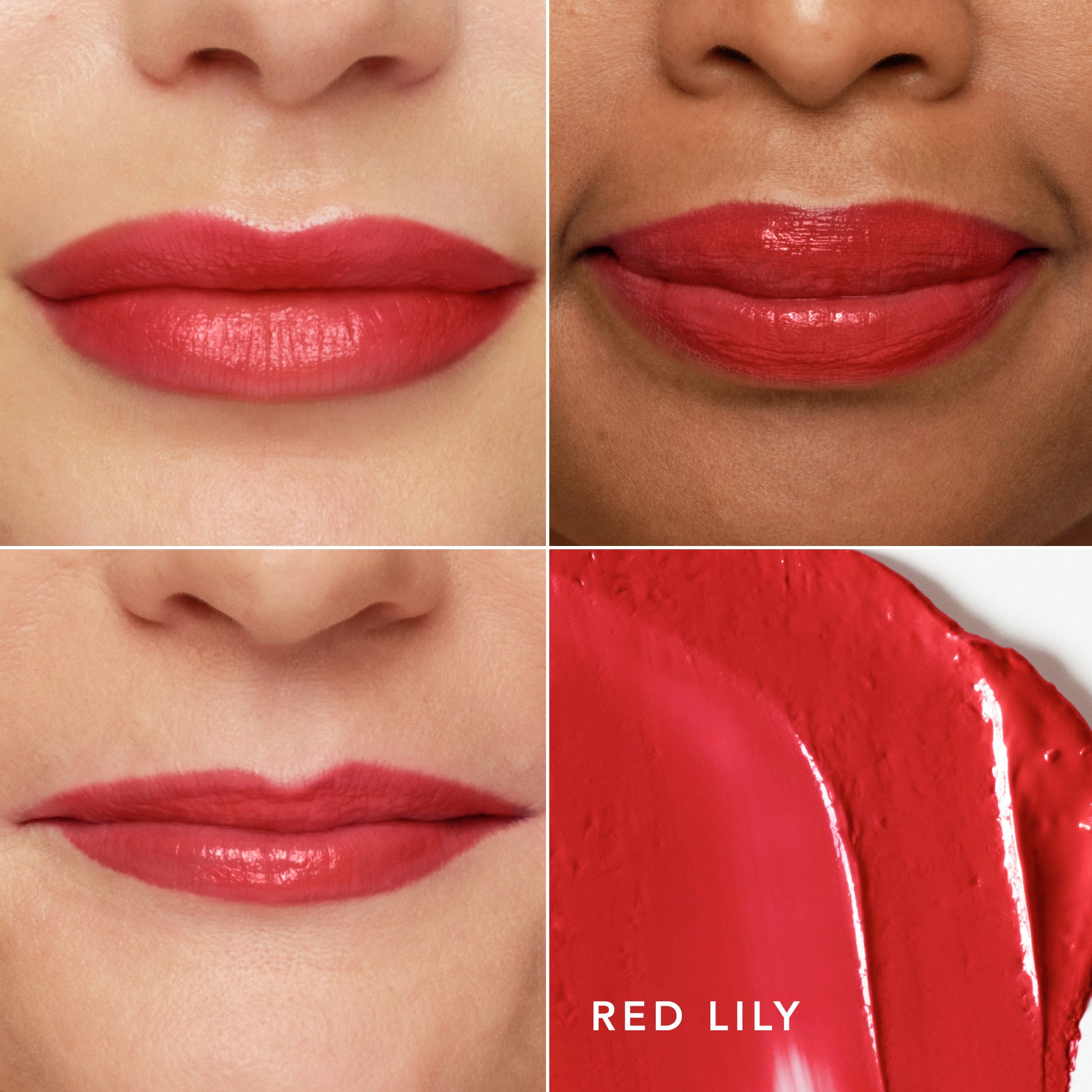 Red Lily