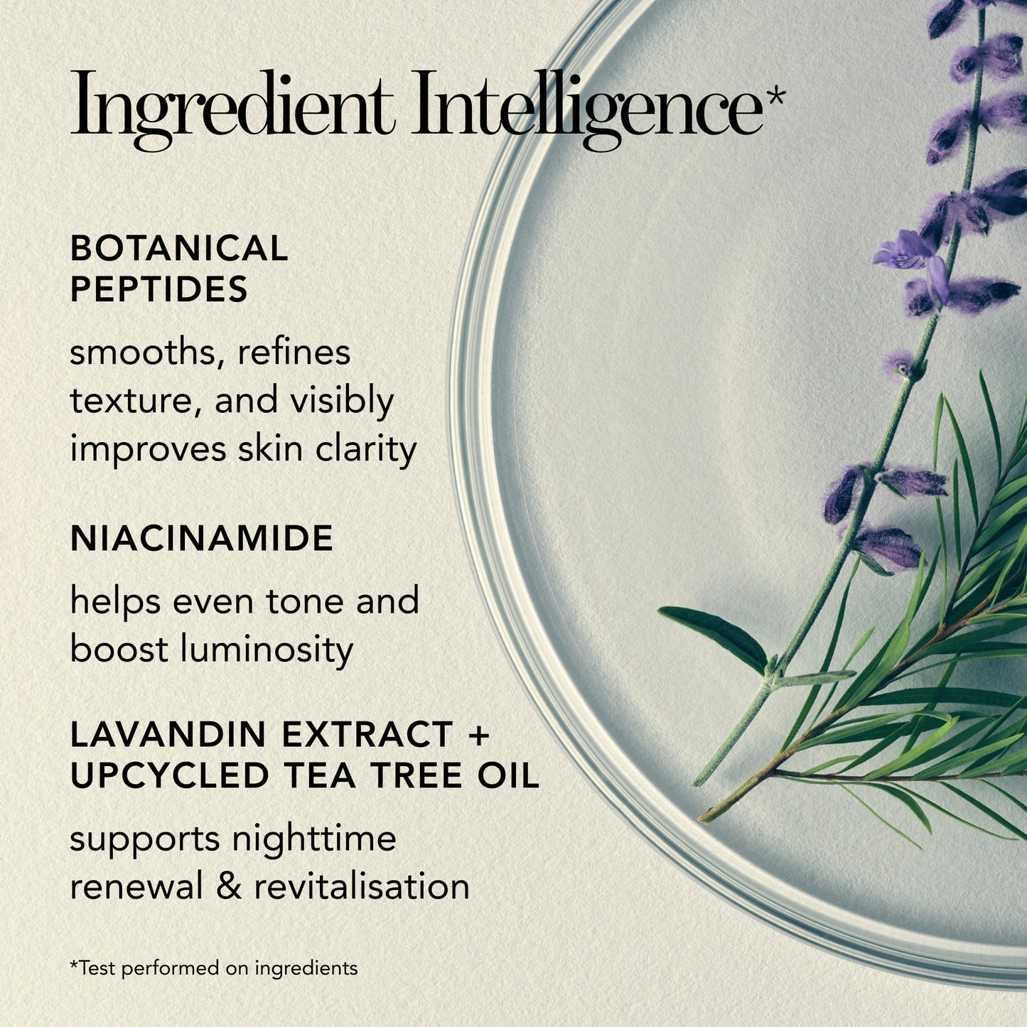 Blanc Peony Overnight Mask