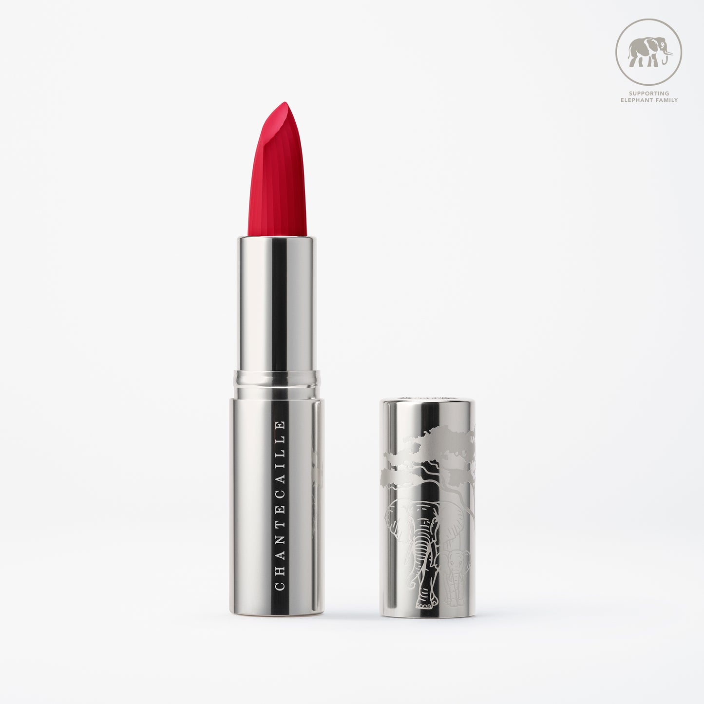 Red Lily