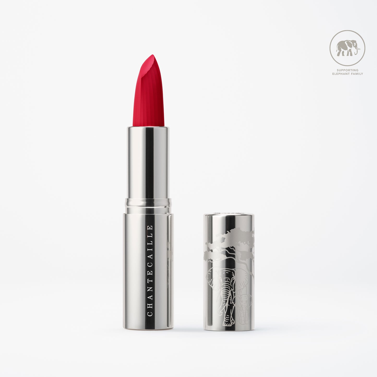 Red Lily