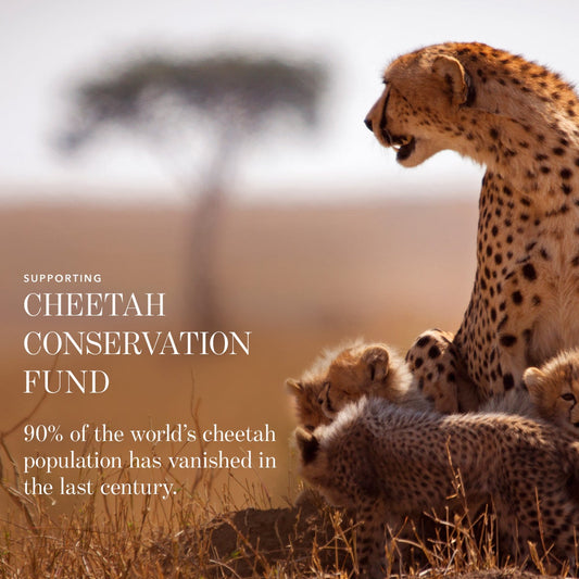 products/Cheetah_Conservation_Fund_88b3ab78-d203-4d50-85b6-382e16a65aa7.jpg