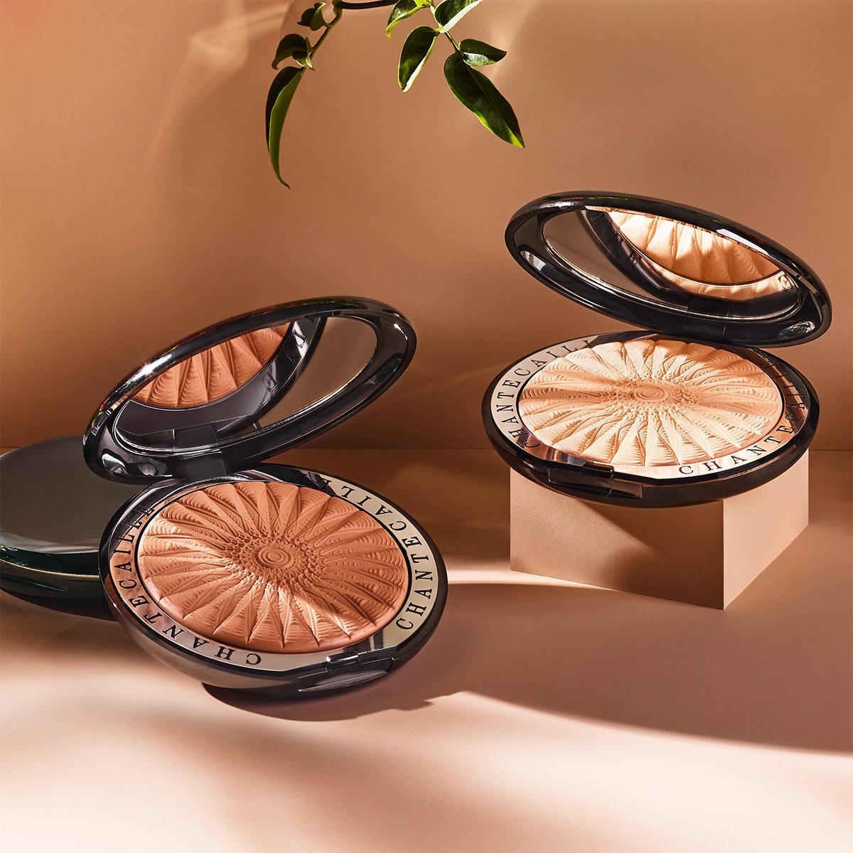 Chantecaille fashion Perfecting Blur Finishing Powder