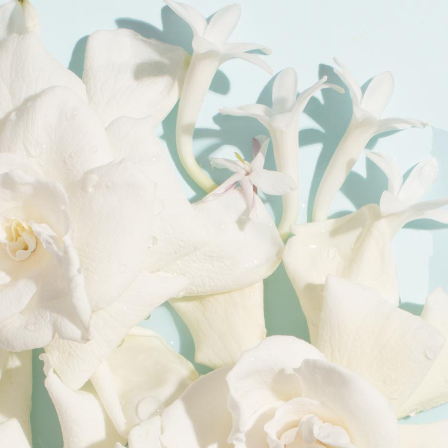 Pétales – Chantecaille UK